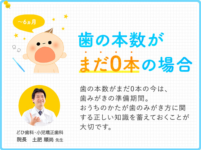 歯の本数がまだ0本の場合 歯の本数がまだ0本の今は、歯みがきの準備期間。おうちのかたが歯のみがき方に関する正しい知識を蓄えておくことが大切です。