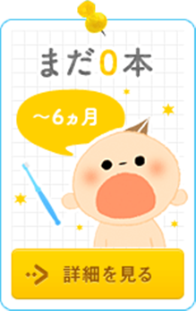 まだ0本 ～6ヵ月